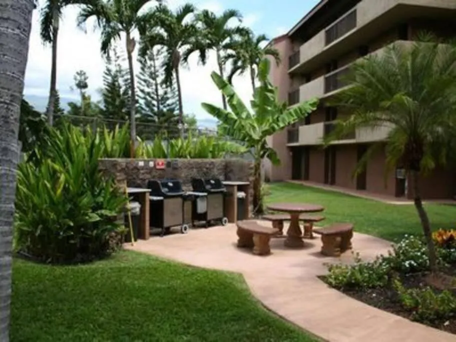Maui Vista. 1 Bedroom Fully Furnished Condo Across From Kam 1 Beach. Walking Distance To Restaurants And Shops. Kihei Apartment