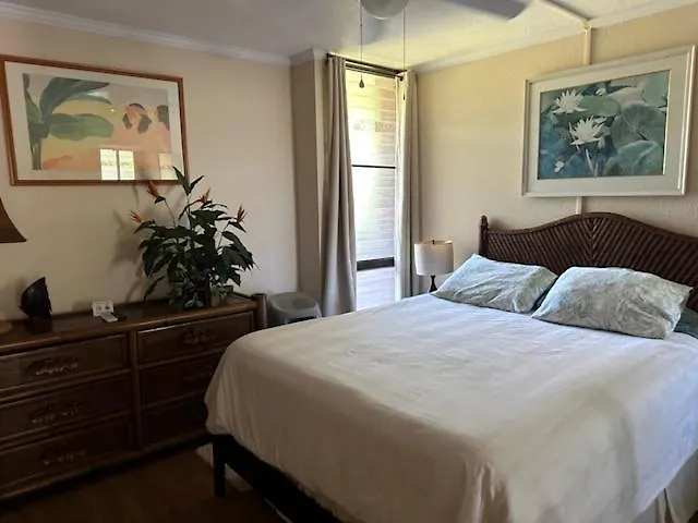 Maui Vista. 1 Bedroom Fully Furnished Condo Across From Kam 1 Beach. Walking Distance To Restaurants And Shops. Kihei 0*,  United States