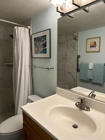 Maui Vista. 1 Bedroom Fully Furnished Condo Across From Kam 1 Beach. Walking Distance To Restaurants And Shops. Kihei Apartment