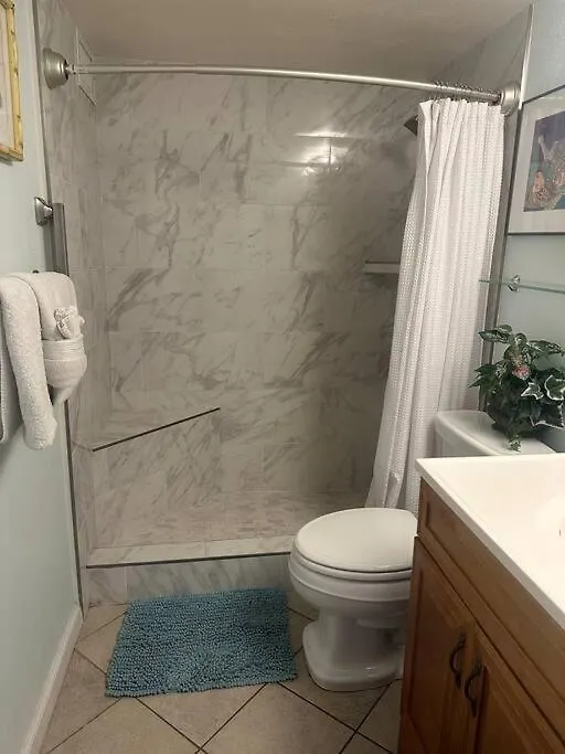 Apartment Maui Vista. 1 Bedroom Fully Furnished Condo Across From Kam 1 Beach. Walking Distance To Restaurants And Shops. Kihei United States