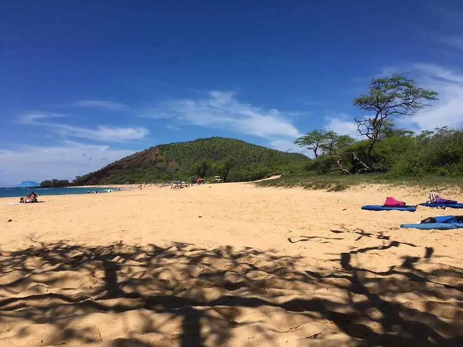 Apartment Maui Vista. 1 Bedroom Fully Furnished Condo Across From Kam 1 Beach. Walking Distance To Restaurants And Shops. Kihei United States