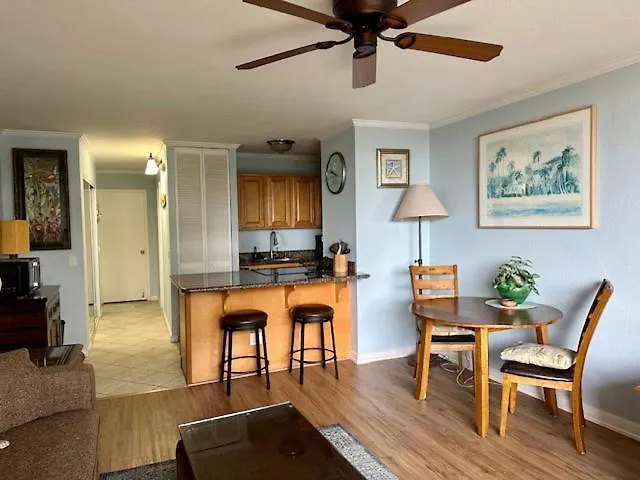 Apartment Maui Vista. 1 Bedroom Fully Furnished Condo Across From Kam 1 Beach. Walking Distance To Restaurants And Shops. Kihei United States