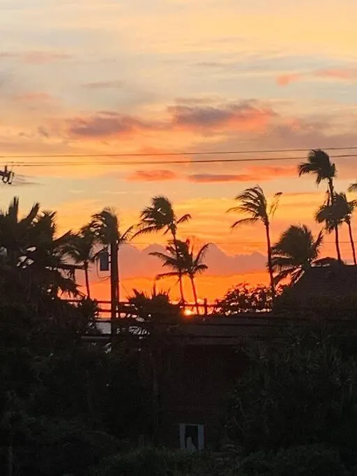 Maui Vista. 1 Bedroom Fully Furnished Condo Across From Kam 1 Beach. Walking Distance To Restaurants And Shops. Kihei 0*,