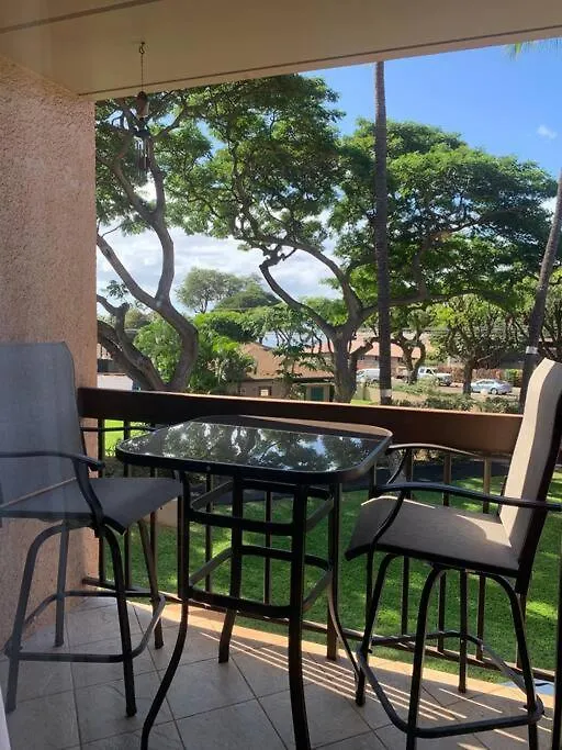 Maui Vista. 1 Bedroom Fully Furnished Condo Across From Kam 1 Beach. Walking Distance To Restaurants And Shops. Kihei Apartment