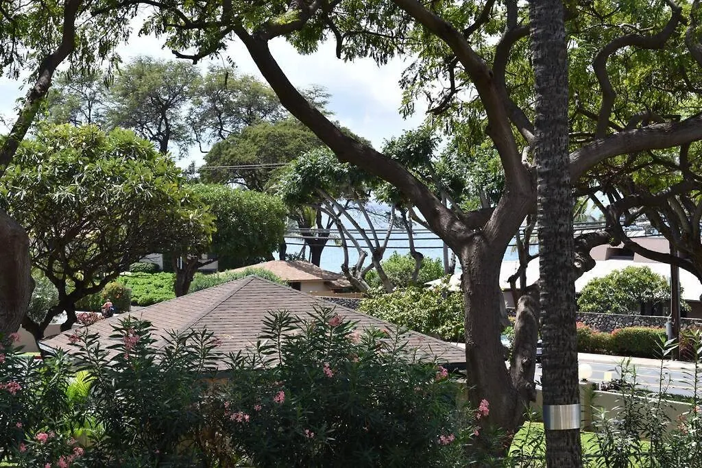 Apartment Maui Vista. 1 Bedroom Fully Furnished Condo Across From Kam 1 Beach. Walking Distance To Restaurants And Shops. Kihei
