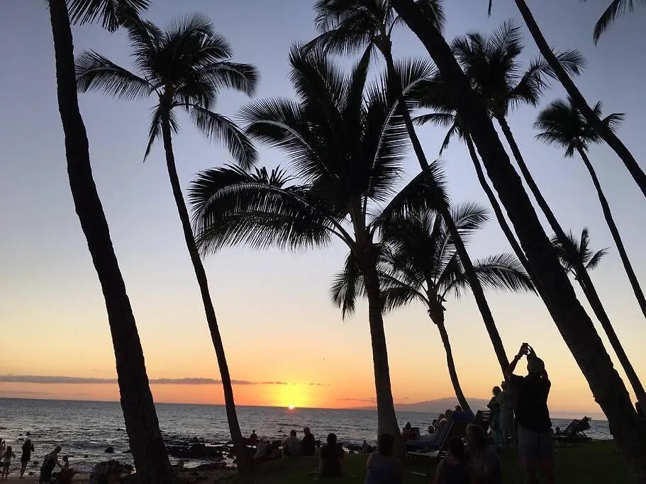 Apartment Maui Vista. 1 Bedroom Fully Furnished Condo Across From Kam 1 Beach. Walking Distance To Restaurants And Shops. Kihei
